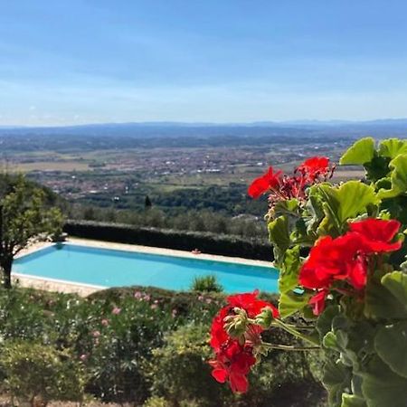 Agriturismo Cima Alla Serra Buti Dış mekan fotoğraf