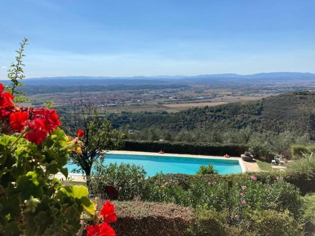 Agriturismo Cima Alla Serra Buti Dış mekan fotoğraf