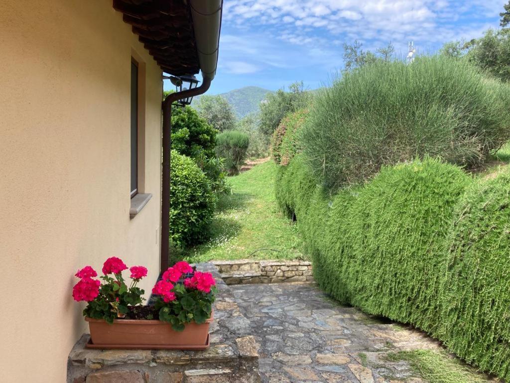 Agriturismo Cima Alla Serra Buti Dış mekan fotoğraf