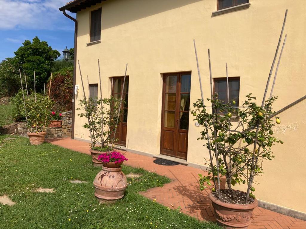Agriturismo Cima Alla Serra Buti Dış mekan fotoğraf
